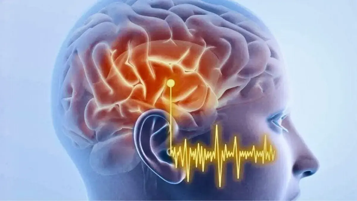 Scientific diagram of the auditory neural pathway from ear to brain showing disruption